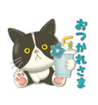 毎日使える！夏の可愛いハチワレコンビ♡（個別スタンプ：9）