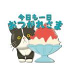 毎日使える！夏の可愛いハチワレコンビ♡（個別スタンプ：11）