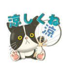 毎日使える！夏の可愛いハチワレコンビ♡（個別スタンプ：14）