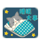 毎日使える！夏の可愛いハチワレコンビ♡（個別スタンプ：15）