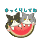 毎日使える！夏の可愛いハチワレコンビ♡（個別スタンプ：16）