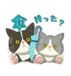 毎日使える！夏の可愛いハチワレコンビ♡（個別スタンプ：19）