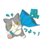 毎日使える！夏の可愛いハチワレコンビ♡（個別スタンプ：23）
