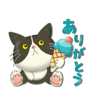 毎日使える！夏の可愛いハチワレコンビ♡（個別スタンプ：26）