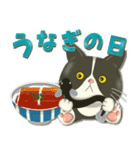 毎日使える！夏の可愛いハチワレコンビ♡（個別スタンプ：31）