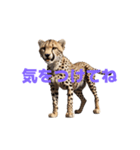 チーター J（個別スタンプ：11）