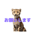 チーター J（個別スタンプ：12）