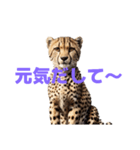 チーター J（個別スタンプ：14）