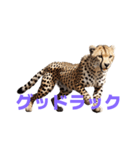 チーター J（個別スタンプ：19）