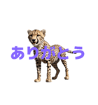 チーター J（個別スタンプ：35）