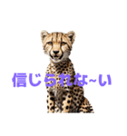 チーター J（個別スタンプ：37）
