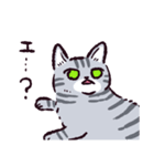 サバトラ猫です（個別スタンプ：1）