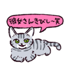サバトラ猫です（個別スタンプ：5）