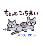 サバトラ猫です（個別スタンプ：7）