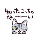 サバトラ猫です（個別スタンプ：11）