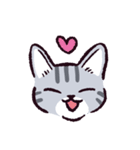 サバトラ猫です（個別スタンプ：13）