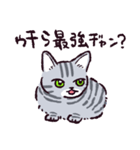 サバトラ猫です（個別スタンプ：15）