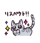 サバトラ猫です（個別スタンプ：16）