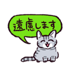 サバトラ猫です（個別スタンプ：17）