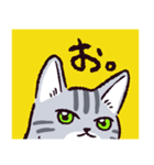 サバトラ猫です（個別スタンプ：18）