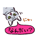 サバトラ猫です（個別スタンプ：19）