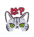 サバトラ猫です（個別スタンプ：21）