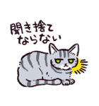サバトラ猫です（個別スタンプ：22）