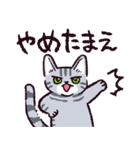 サバトラ猫です（個別スタンプ：23）