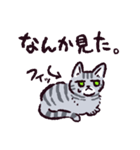 サバトラ猫です（個別スタンプ：29）