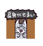 サバトラ猫です（個別スタンプ：33）