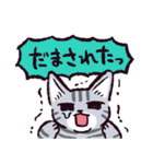 サバトラ猫です（個別スタンプ：35）
