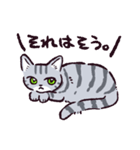 サバトラ猫です（個別スタンプ：36）