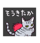 サバトラ猫です（個別スタンプ：37）