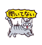 サバトラ猫です（個別スタンプ：38）