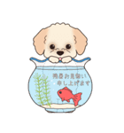 『マルプー』夏のごあいさつ（個別スタンプ：5）