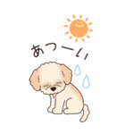 『マルプー』夏のごあいさつ（個別スタンプ：13）