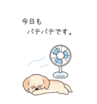 『マルプー』夏のごあいさつ（個別スタンプ：14）