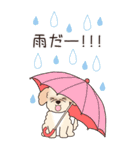 『マルプー』夏のごあいさつ（個別スタンプ：15）
