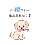 『マルプー』夏のごあいさつ（個別スタンプ：16）