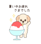 『マルプー』夏のごあいさつ（個別スタンプ：19）