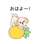『マルプー』夏のごあいさつ（個別スタンプ：21）
