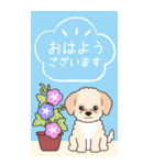 『マルプー』夏のごあいさつ（個別スタンプ：22）