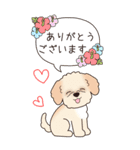 『マルプー』夏のごあいさつ（個別スタンプ：24）