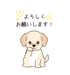 『マルプー』夏のごあいさつ（個別スタンプ：26）