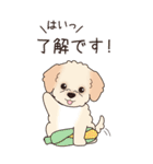 『マルプー』夏のごあいさつ（個別スタンプ：27）