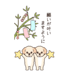 『マルプー』夏のごあいさつ（個別スタンプ：31）