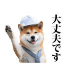 防災☆柴犬（個別スタンプ：2）