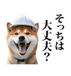 防災☆柴犬（個別スタンプ：5）