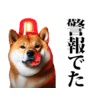 防災☆柴犬（個別スタンプ：7）