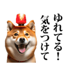 防災☆柴犬（個別スタンプ：8）